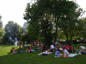 unos 50 amigos en la sombra